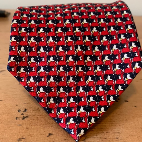 Robin Ruth Other - Robin Ruth silk cow tie